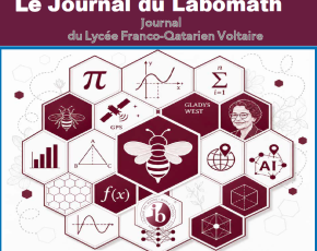 Labomath Voltaire 5